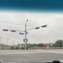 진아카센타 이미지