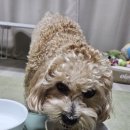 둥글댕글 이미지