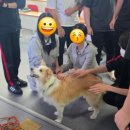 구리동물보호센터 웹이코노미