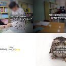 내셔널지오그래픽
