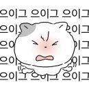 라차비치 이미지