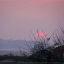 어심바다낚시터 이미지