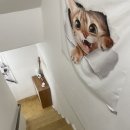 냥냥 | [리뷰] 냥냥하우스 비추후기 (공간대여/ 스페이스클라우드/숙소)