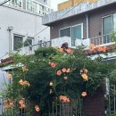 돌아온 시루원정대