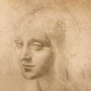 레오나르도 다빈치의 「 젊은 여인의 두상』 이미지