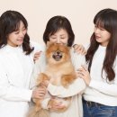 비원스튜디오 이미지