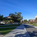 버클리 캘리포니아 대학교 University of California, Berkeley 이미지