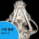 이비치 동물치과병원 | 강아지 구강종양 치료 이비치 동물치과병원