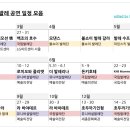 온도네일 이미지