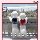 숑사탕 - 유성구 현충원로 411 | 숑사탕