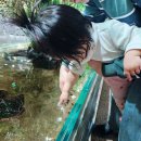 일중로 | 일산 아기랑 가기 좋은 초대형 아쿠아리움 카페 아쿠아가든 일산 후기 <수유실 정보>