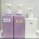 풀빌라467(B) | 원주 풀빌라 펜션 추천 젤코바480, 수영장 대박~!
