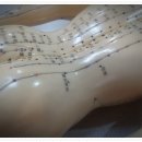 동대문한의원 이미지