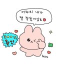 조금 늦은 Happy New Year🐰