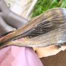 지니Hair 이미지