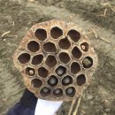 양곡어린이집 이미지