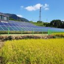 금빛 태양광발전소 이미지