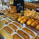 뚜쥬르과자점 | [천안] 천안 뚜쥬르 과자점 방문기🍞 거북이빵·명란소금빵 후기