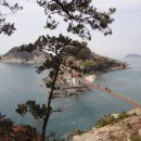 출렁다리(1) 이미지