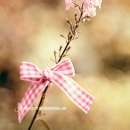 카페나루 - 포항시 북구 학산로 15 | 카페나루