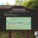 지방도442호선 이팝나무길 | 우리강 여행 (64) : 영산강 여행 (4), 담양 메타세쿼이아길