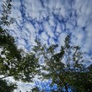 거금도 청석 오토캠핑장 이미지