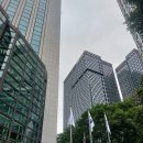 우리동행행정사사무소 이미지