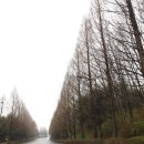 복사꽃농원 - 원주시 평장두둑1길 21 | 복사꽃농원