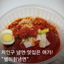 별미칡냉면 | 처인구 마평동 냉면 맛집 배달 후기 여름마다 찾게 되는 별미칡냉면