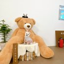 구름이 그린 달빛 | 운정 애견카페 구름이 그린 달빛 방문후기