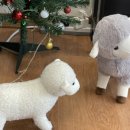 가시머리펜션 이미지