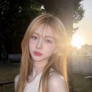 컷;염색