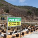 김정순농장 이미지