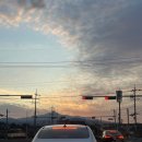 장기로 22번길 | [제주 동쪽 숙소] 가성비 좋은 조식·자쿠지·독채숙소 각지불 에코랜드 사려니숲 - 삼다숲펜션