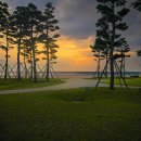 망상오토캠핑리조트 이미지