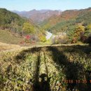 쇄재터널 이미지