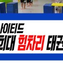 한미경희태권도 이미지