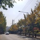 신월목욕탕