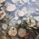 여주-0712 이미지