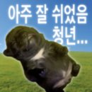 하나로 | ✨ 디지털 하나로 후기 (’25.03.24 ~ ’25.09.18)