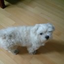 올리브백화점 이미지