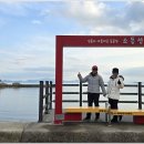 섬에머물다