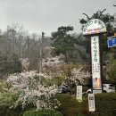 대박터진날 | 용인 맛집 박터진흥부네 산장에서 오리백숙 한정식 먹으며 몸보신한 날