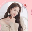 브라운스프링 이미지