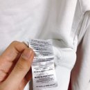 화이트부러쉬 이미지