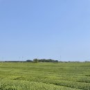 자, 떠나자! 제주도로! 2학년 수학여행 이미지