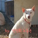 같이