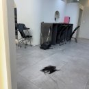 은호빌딩 | 둔산동 미용실 에이티엔피 대전둔산 아트터닝포인트 커트 클리닉 후기