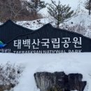 태백산식당·튀김 이미지