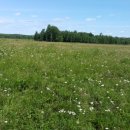 숲속의 농장 이미지